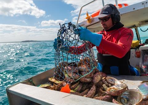 Western Australia Abalone Fishery produce