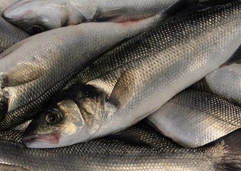 Wild-caught sea bass is a valuable commodity in Europe