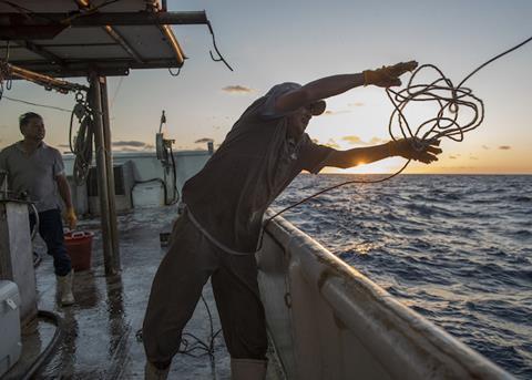 Year three of tuna and swordfish project