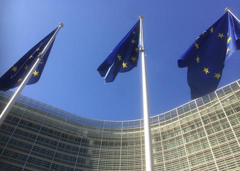 EU Commission confirms salmon company raids