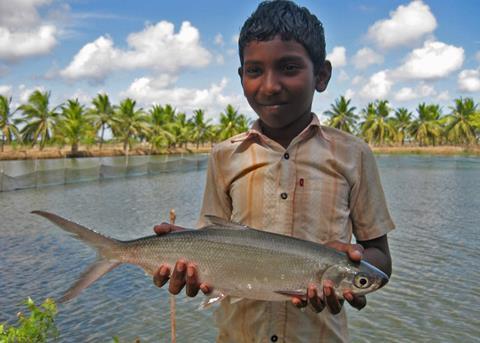 Boy with a milkfish in India. Credit: Arun Padiyar, 2011/CC BY-NC-ND 2.0