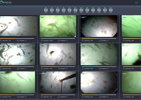 Artificial intelligence developed by AKVA and Observe Technologies helps feed fish more efficiently Photo: AKVA