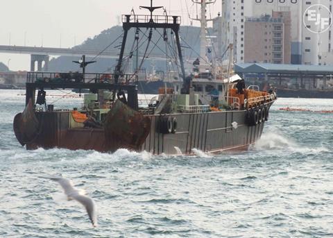 Korean fisheries need reform, claim NGOs