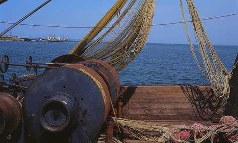 In 2011, the UN General Assembly will review the actions taken by EU and other high seas fishing nations to implement the 2009 resolution.