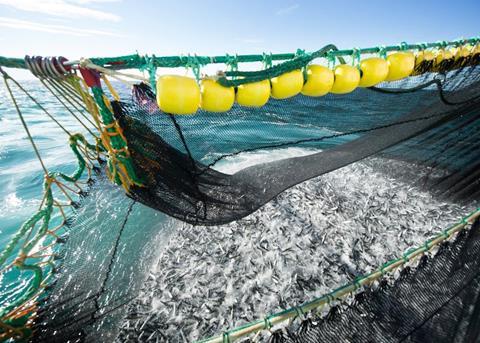 A weak krone has seen the value of Norwegian seafood reach an all-time high Photo: Norwegian Seafood Council