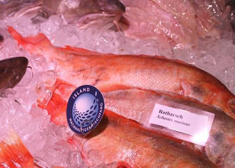German consumers get a chance to enjoy Icelandic golden redfish Photo: IRF
