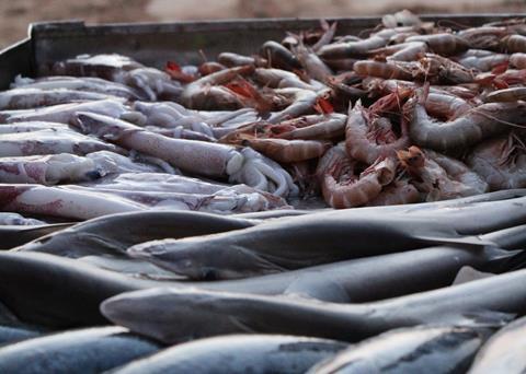 The programme aims to help women understand how seafood can significantly reduce their risk of heart disease. Photo: Jennifer Rose Stankowski