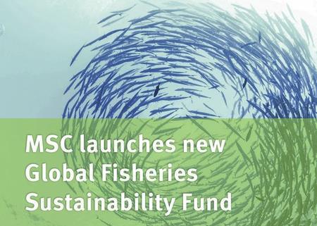 Six organisations receive MSC funding