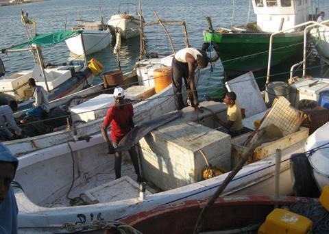 MEP will assess fisheries with the potential for sustainable harvesting and the associated onshore support infrastructure required