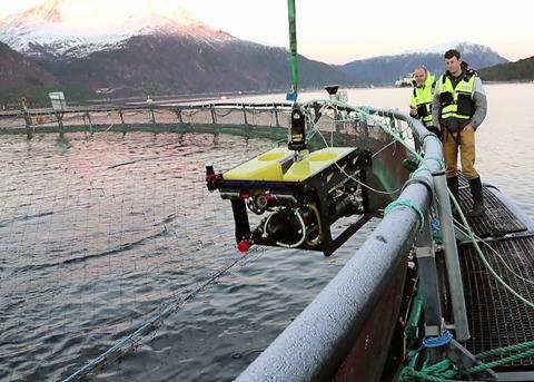 SINTEF Ocean hosted trials at its facility in Trondheim in Norway Photo: SINTEF Ocean
