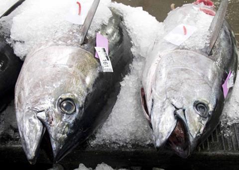 A new study advises fisheries managers to focus on environmental factors that affect fish stocks Photo: NOAA Fishwatch