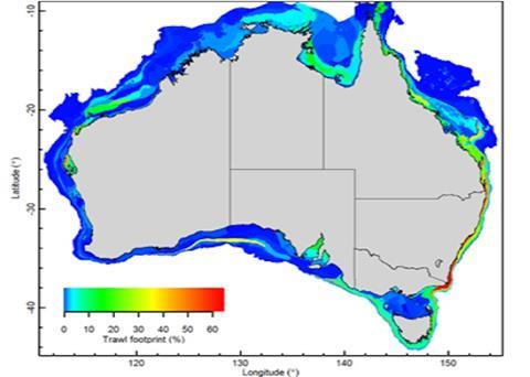 Data about the Australian seabed has been reviewed to see which areas are at risk from trawling Photo: CSIRO