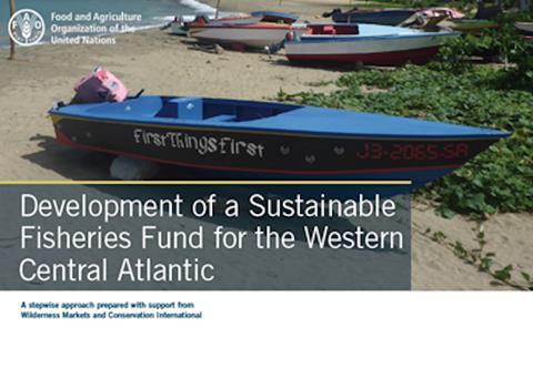 The FAO is working on a fund to help promote sustainable fishing in the Atlantic Photo: FAO