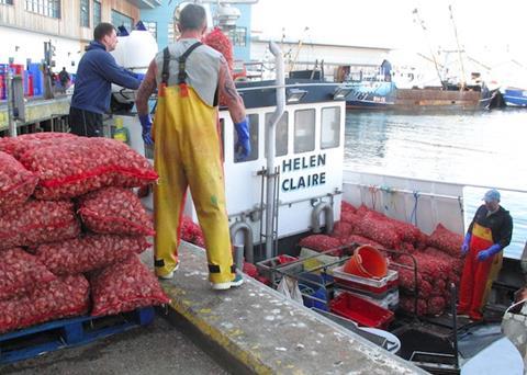 New EU EHCs delayed to January