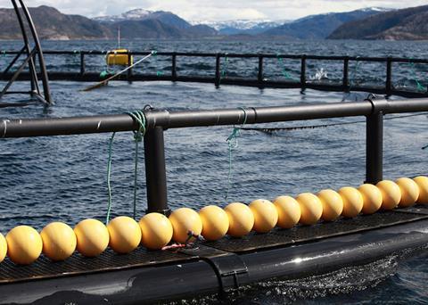 Maritech and Sea Data Center are producing an analytics tool to help customers understand seafood marketing trends Photo: Maritech