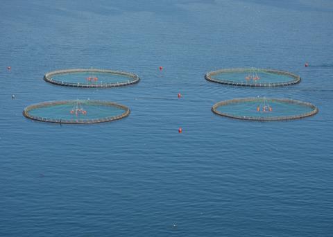 Vónin has supplied Meridian Salmon Farms with a complete mooring system for a set of 14 cages. © Vónin