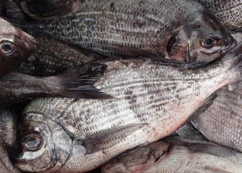 Keeping the fish moving