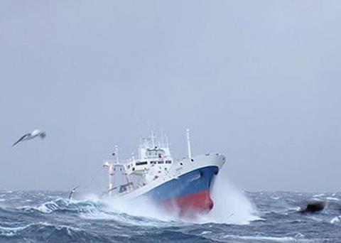 Nueva Pescanova Group has joined the Sustainable Fisheries Partnership