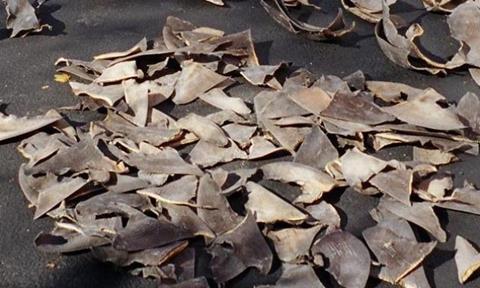 The new law will require all sharks caught in US waters to be landed with their fins still naturally attached.