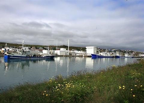 HB Grandi's pelagic fleet in the harbour of Vopnafjörður
