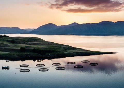 SAIC has launched a funding call to help support aquaculture businesses Photo: SAIC