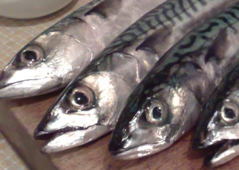 Bertie Armstrong says that the ball is in the court of Iceland and the Faroes - they need to table a counter offer to get the negotiating process rolling again. Credit: Podknox/CC-by-2.0