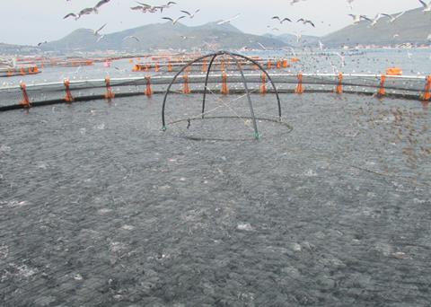 P2G Fish farm visit confirmed for the 5th Offshore Mariculture Conference 2014