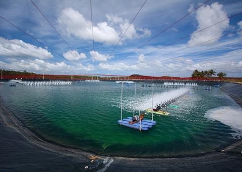 Thai Union farmed shrimp has been rated as ‘good’ by the Monterey Bay Aquarium Seafood Watch Photo: Thai Union