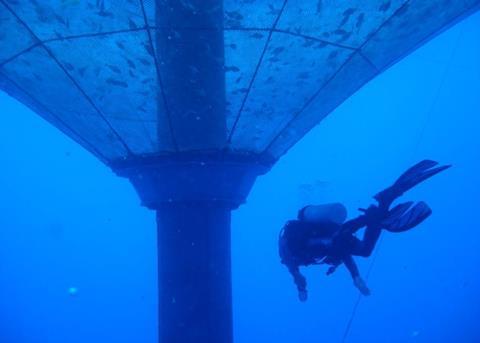 The Ocean Aware project will develop sustainable aquaculture solutions Photo: Ocean Supercluster