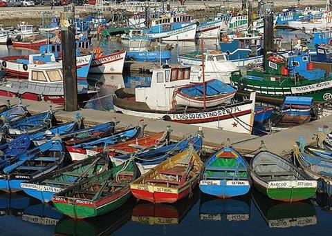 Fishing quotas for 2015 in the Atlantic, North Sea and Black Sea have been decided. Credit: Osvaldo Gago/CC BY-SA 3.0