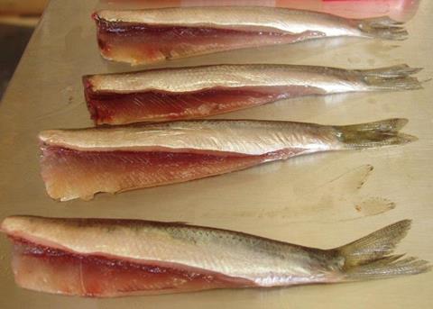 The ‘belly cleaning device’ on the SEAC FPM-400 can fillet this ‘special’ product with very high yield