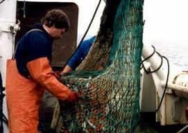 Swedish fishermen may get longer TACs. Credit: Swedish Board of Fisheries