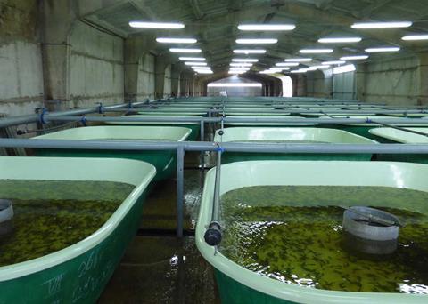 Russian aquaculture