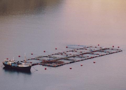 Blockchain technology could help boost aquaculture industry and consumer confidence