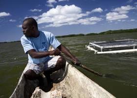 A Haitian man paddles out to his fish farm. Brazil and FAO are partnering to spread aquaculture in the Caribbean and elsewhere © FAO/Luca Tommasini
