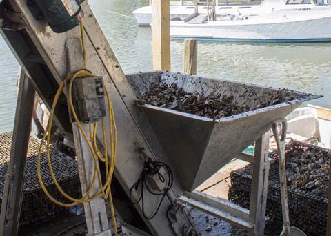 The value of Virginia aquaculture reached an all-time high in 2013. Credit: VIMS