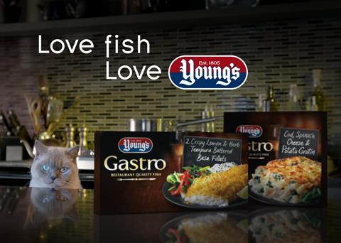 Malcom the Cat is the star of Young’s new TV advertising campaign