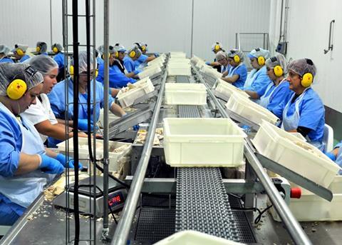 Grupo Consorcio is implementing an eco-plan which focuses on reducing the water consumption used in albacore and tuna canning