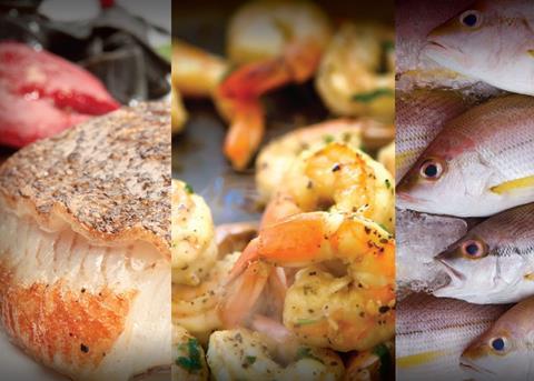 The World Bank report represents a global view of fish supply and demand