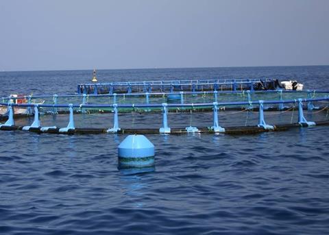 Spain will submit its Multi-Year Strategic Plan for Spanish Aquaculture by the end of this year © Magrama