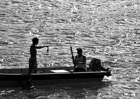 The NFFO believes a rushed MCZ process will do more harm than good. Photo: Rafael Guedes/Marine Photobank