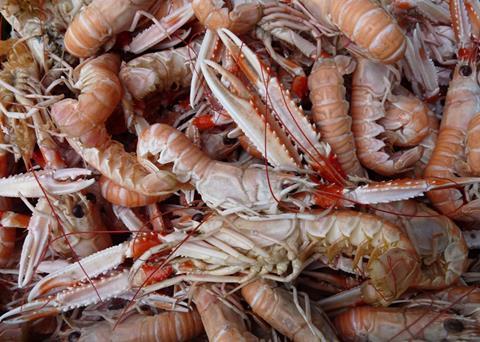 The MSC certificate for Loch Torridon langoustine has been suspended. Credit: Ji-Elle