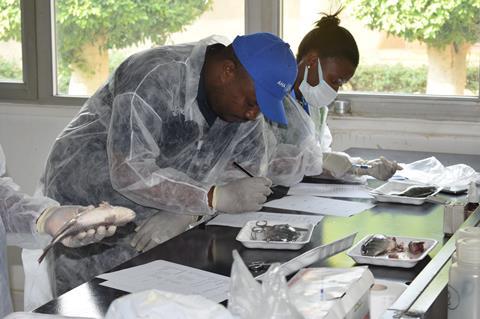 Abbassa Research and Training Centre, Egypt