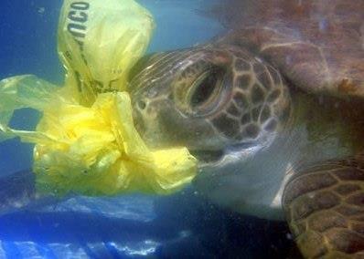 Italy has banned plastic bags