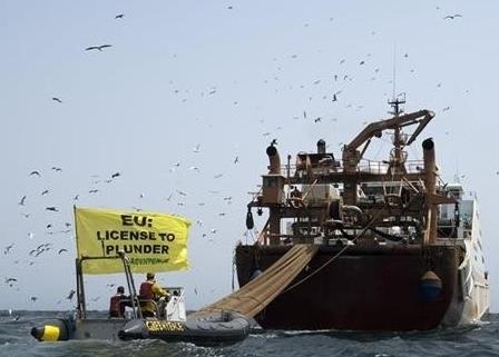 The plan will start in 2014 and aims to phase out discards by 2019. Photo: Greenpeace