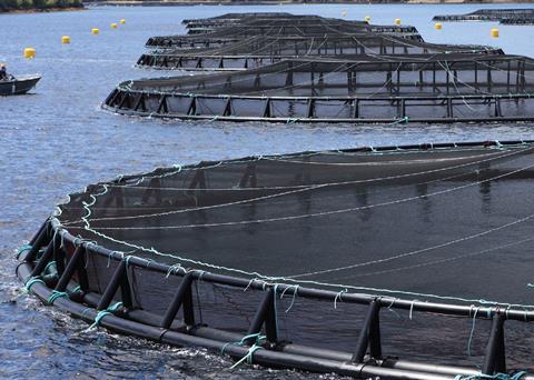 Salmonid site in Fortune Bay. Credit: Department of Fisheries and Aquaculture