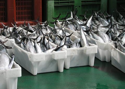ISSF has called for regional fisheries management organisations to take steps to address excess capacity in tuna fisheries