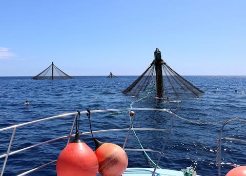 The first two Aquaculture Opportunity Areas in the US have been chosen Photo: NOAA Fisheries