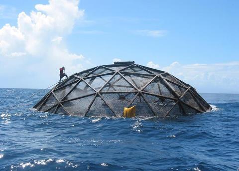First cobia farm becomes ASC certified