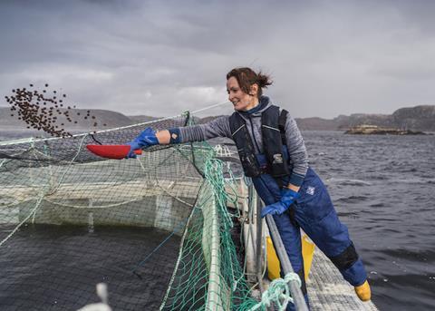 Loch Duart fish feed